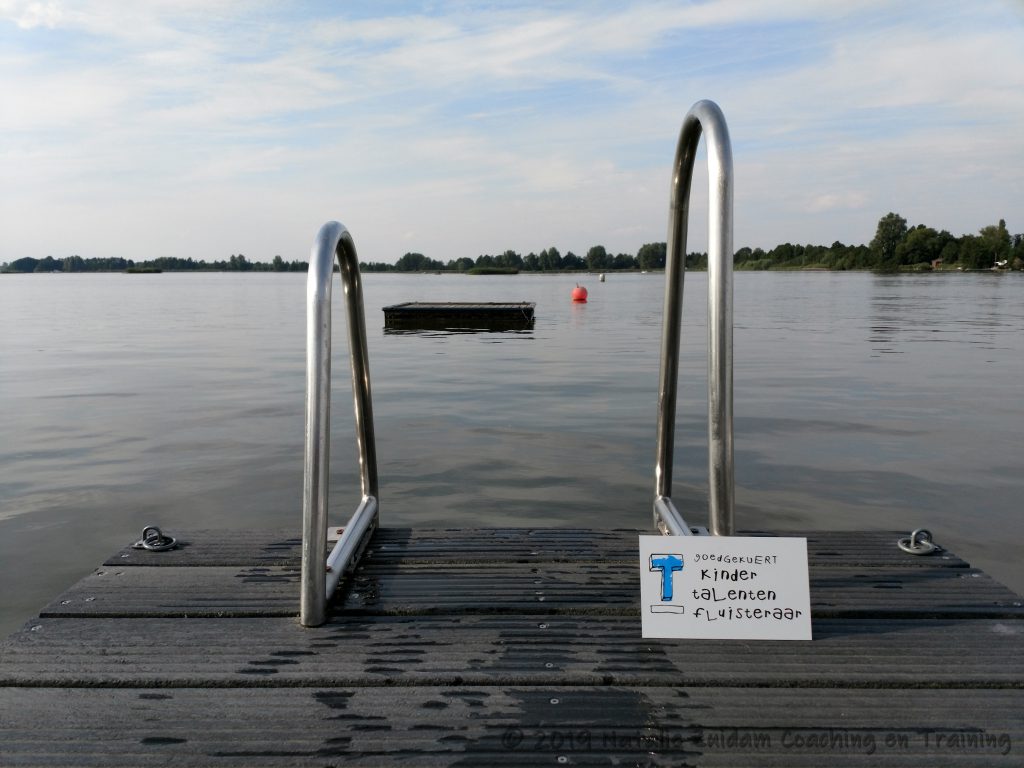 Zwemtrap op een steiger aan een meer, met bordje "goedgekuert kindertalentenfluisteraar"